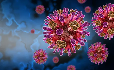 Nipah virus returns Kerala Man Tests Positive Preliminary Screening