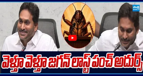 YS Jagan Superb Punch to Reporter Question 3