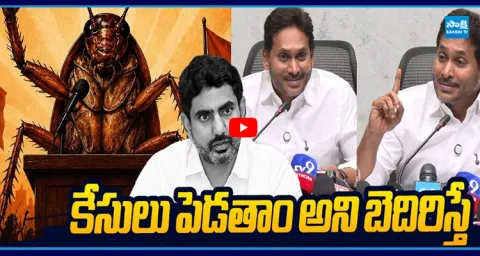 YS Jagan Mass Warning To Nara Lokesh Cockroach Party In AP 1