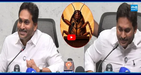 YS Jagan Superb Punch to Reporter Question 1