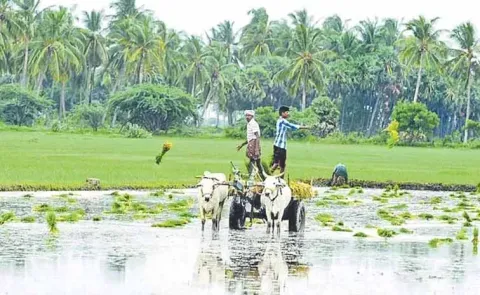 Cooperatives are key to changes in the agricultural sector