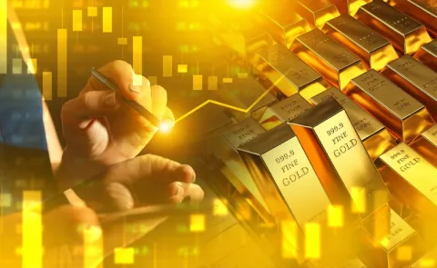 India Gold Reserves Value Rise Overall Forex Reserves Down