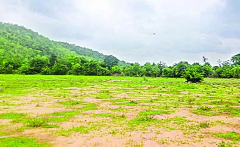 Long term lease of government lands at low lease fees