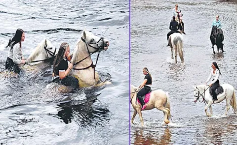 The Horse Bathing Festival Tradition In The Town Of Appleby England