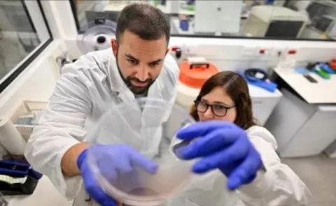 Cancer treatment without drugs says Technion University scientists12