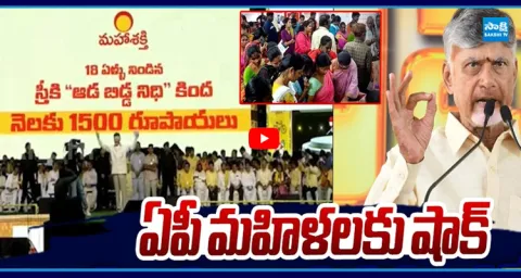 Chandrababu Shocking Comments on Adabidda Nidhi Scheme 2