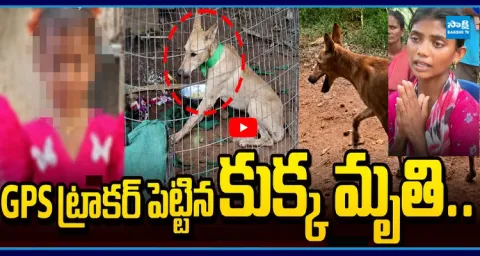 Pet Dog Died Big Twist In Jahnavi Missing Case 5