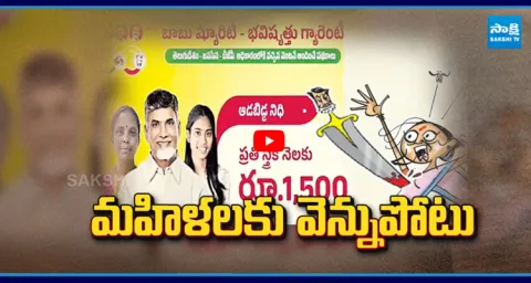 Chandrababu Shocking Comments on Adabidda Nidhi  1