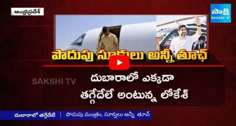 CM Chandrababu & Lokesh 1