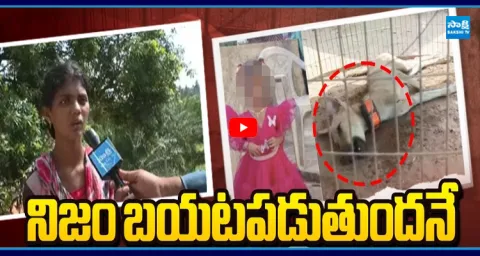 Pet Dog Death: Gnaneswari Mother Shocking Comments  1