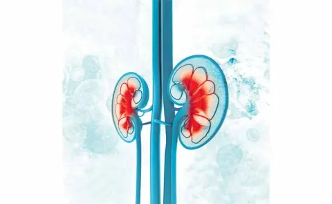 Kidney problems in the state are more than double the national average