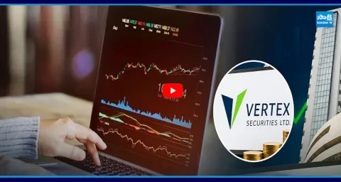 Penny Stock Vertex Securities Hits 20% Upper Circuit for Second Straight Session 1