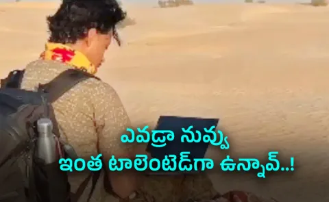 Employee Sahara Desert Laptop Camel Zoom Call Video Viral