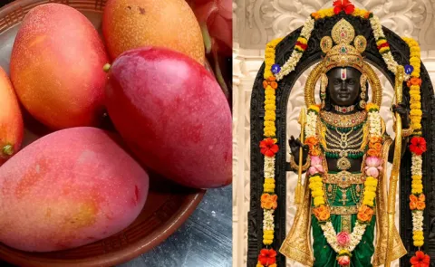 Ayodhya farmer offers Rs 1 lakh mango to Lord Ram