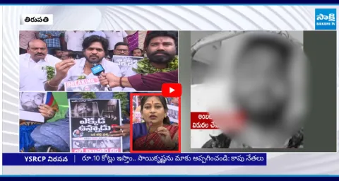 YSRCP Leaders Demand Vangalapudi Anitha To Resign As Home Minister 1