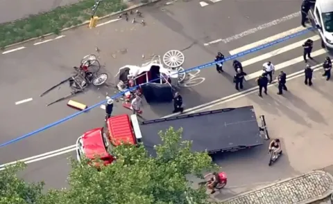 Tragedy in New York Indian Teen Dies in Central Park Carriage Mishap