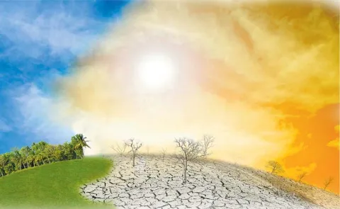 El Nino Resilient C4 Crops And Mitigation Strategies Sagubadi