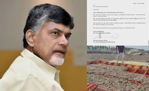 Aqua Feed Prices: Chandrababu Announcement Was Not Implemented