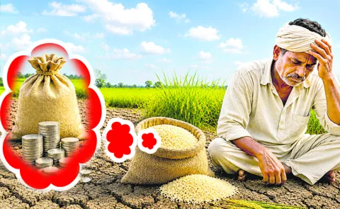 Bonuses 700 crore have not yet been credited to the farmers accounts