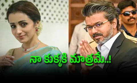 Trisha shares witty post as link-up rumours with CM Vijay 