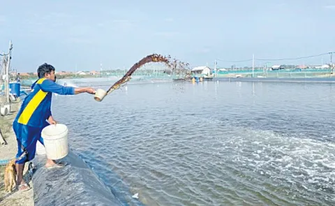 Aqua farmers furious over the governments attitude
