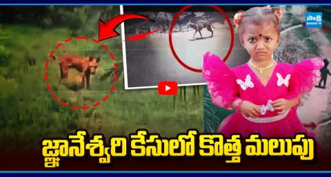 CCTV Dog Footage Adds Twist to Gnaneshwari Missing Case 1