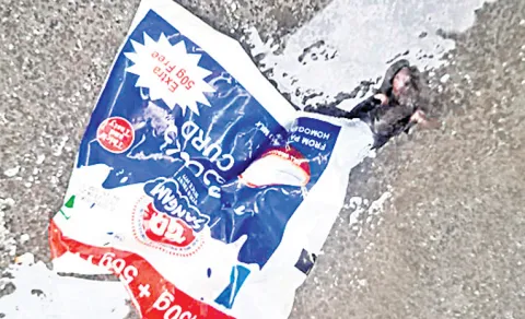 rat discovered inside curd packet in warangal