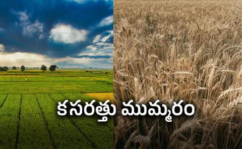 Centre Readies Plan B For Kharif Amid El Niño Threat