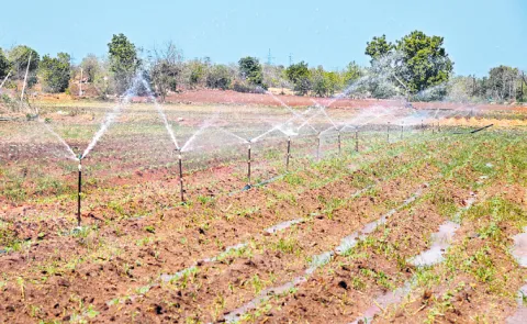 Kharif cultivation was worse by severe rain shortage