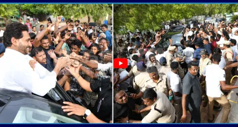 YS Jagan Meets Party Cadre And Public In Pulivendula 1