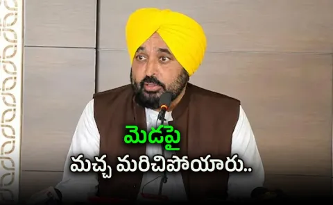 Mask Used To Create Fake Footage: Bhagwant Mann On Video Row