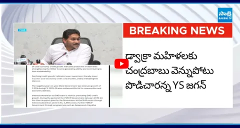 YS Jagan Fire On chandrababu  1