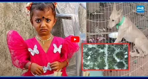 Kakinada Child Jahnavi Missing Case Updates
