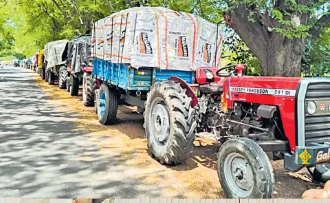 Mango purchases stalled at pulp factory