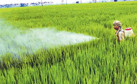 Khet Bachao Abhiyan Showing The Way To Farmers