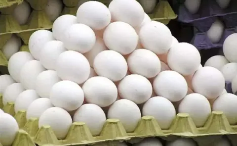 Egg Prices Rise Due To Soaring Temperatures