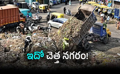 From Garden City to Garbage City Bengaluru Urban Decay Sparks Outrage