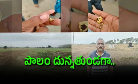Gold Found In Crop Field In Warangal District