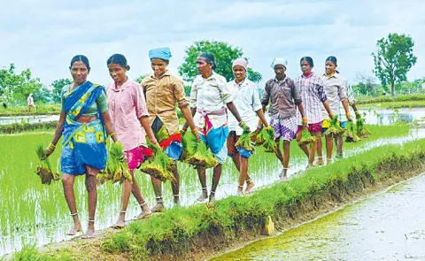 Telangana Congress Government's Abhayahastham Scheme For The Agricultural Sector