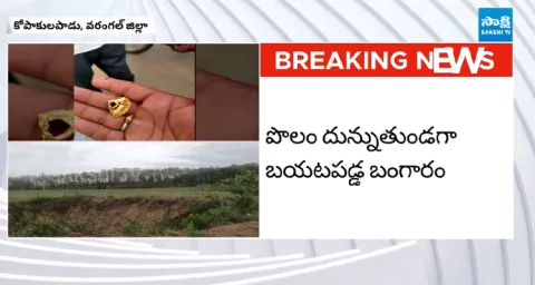 Farmer Discovers Gold Buried in His Land In Warangal 1