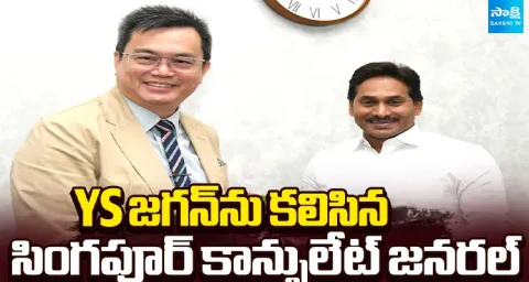 YS Jagan meets Singapore Consul General  1