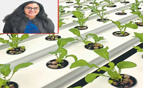 Kolkata student Vansika Jhawar creates a low-cost hydroponic farm