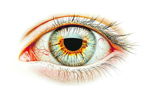 Our Eye Is Equivalent To A 576 Megapixel Camera