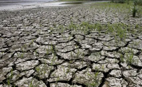 El Nino Conditions Will Lead to More Heatwaves, Droughts and Wildfires