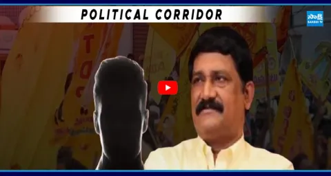  MLA Ganta Srinivasa Rao Relatives Mafia In Bhimili  1
