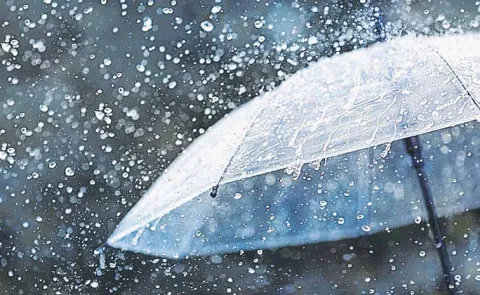 Light rains for two days in telangana 