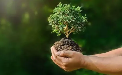 World Environment Day Environmental protection is our culture13