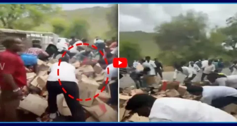 Liquor Truck Overturns In Chittoor So Locals Loot Bottles 1