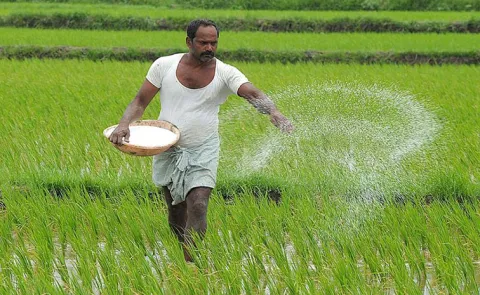 India Agriculture GVA Doubles to Rs 48. 7 Lakh Crore in a Decade