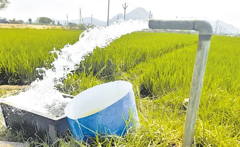 Telangana establishes power discom for agricultural sector